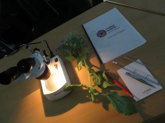 Sigues botànic per un dia, taller d’identificació de plantes