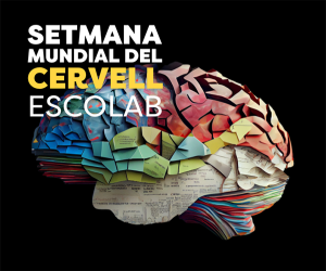 Celebra la Setmana Mundial del Cervell amb Escolab!